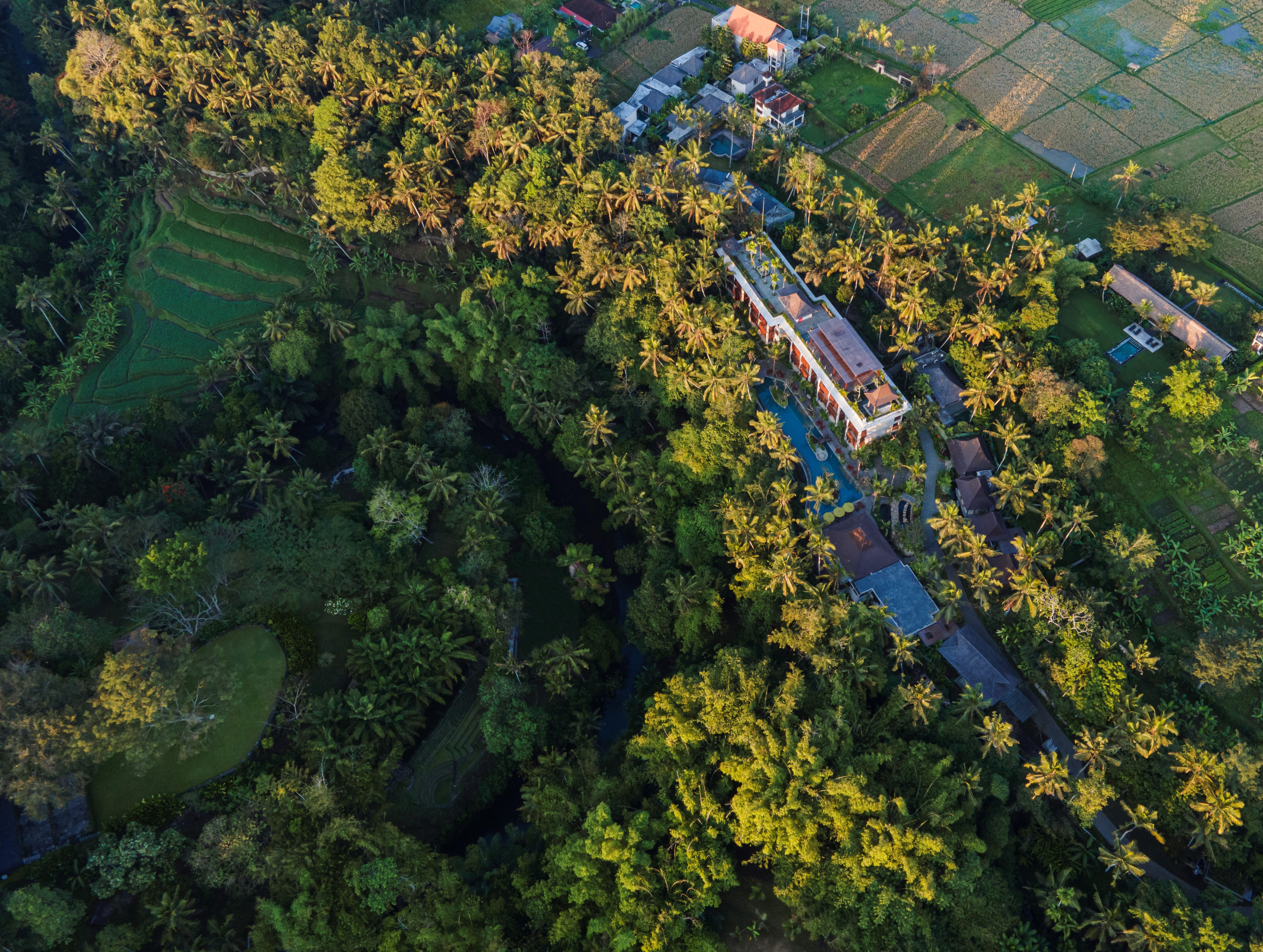 Arkamara Dijiwa Ubud Екстериор снимка